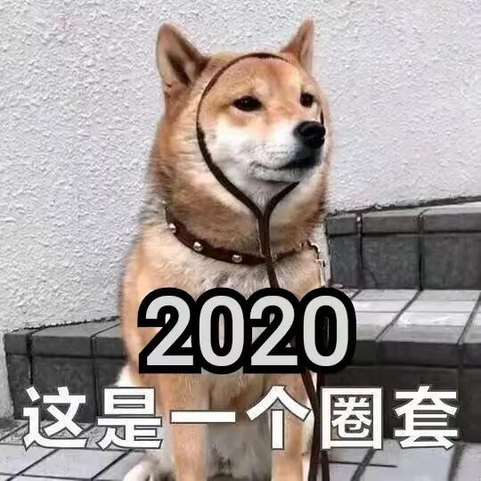 听说2021的FB体育 FB体育平台年货都有特别的气质？(图1)