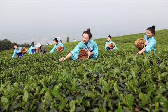 2020年新春年货节开始了送茶送健康FB体育 FB体育平台送礼贵天下！(图2)