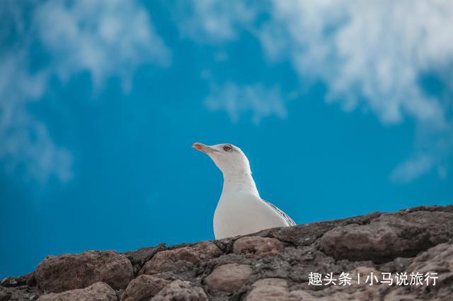 FB体育 FB体育平台春节不只有海南三亚这个性价比更高的国外旅行地机票仅3000(图2)