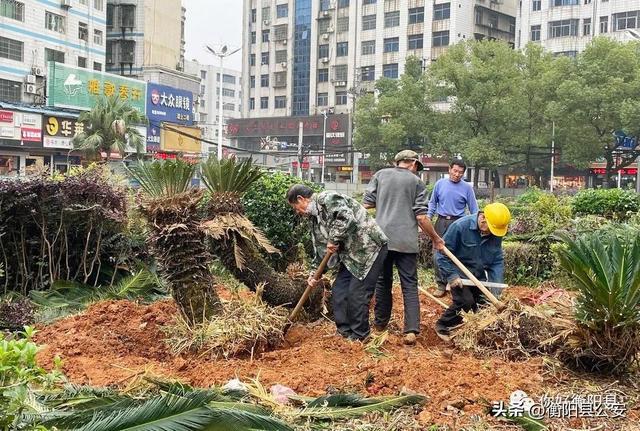 FB体育 FB体育平台重磅！重建夏明翰广场春节前与市民见面(图3)