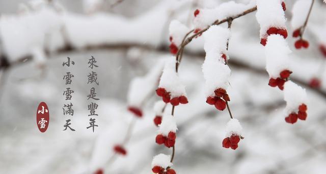 今日小雪今年春节期间冷不冷？看看古人留下的农谚FB体育 FB体育平台是怎么说的(图3)