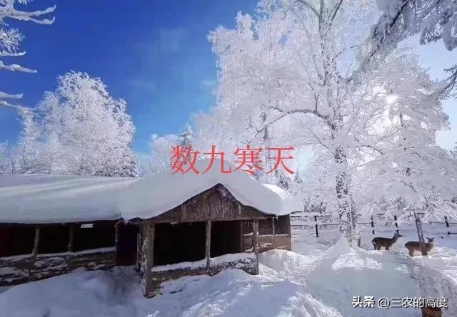 FB体育 FB体育平台今年大雪不一般“大雪在月中春节正隆冬”是啥意思？有道理吗(图3)