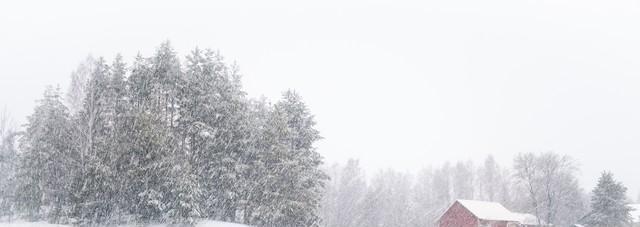 今年大雪不一般 “大雪在月中 春节正隆冬” 202FB体育 FB体育平台3年春节冷吗!(图1)