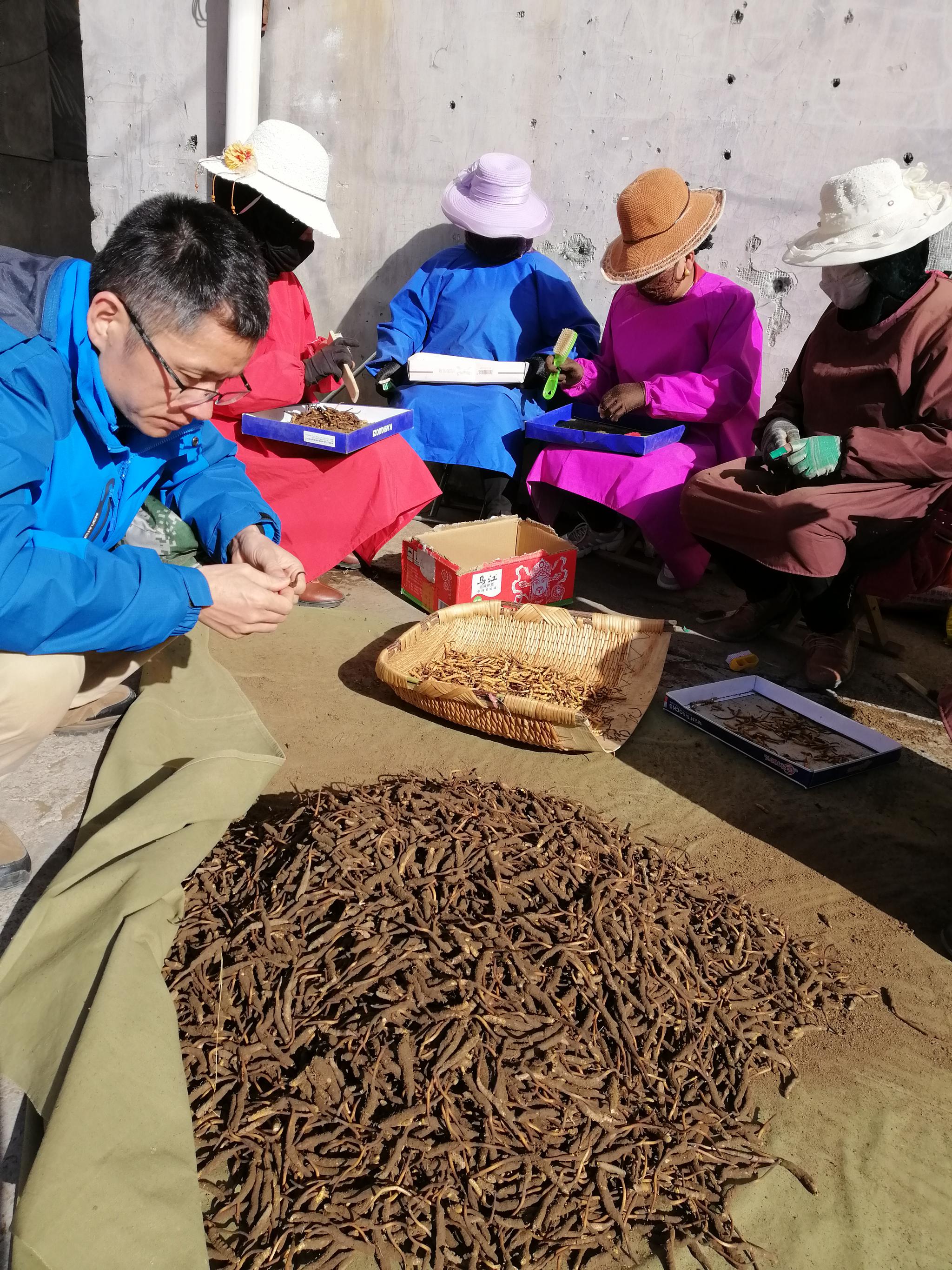 源头收购品质为先！金诃藏药馆进驻惠州FB体育 FB体育平台的10年历程(图1)