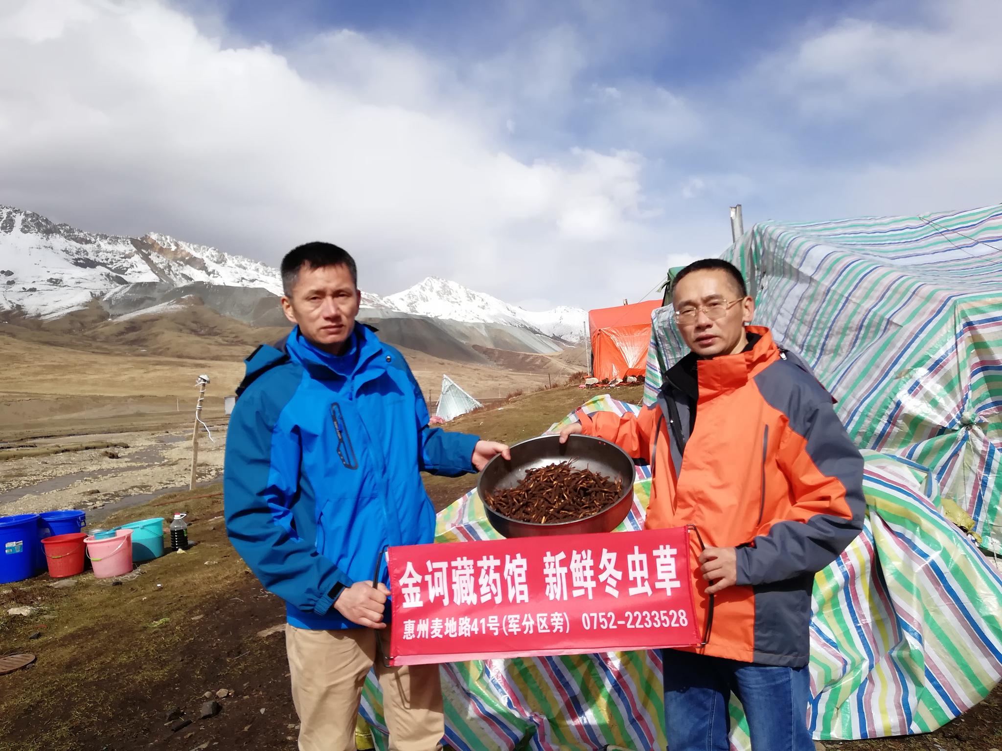 源头收购品质为先！金诃藏药馆进驻惠州FB体育 FB体育平台的10年历程(图2)