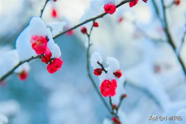 FB体育 FB体育平台明天5号大范围中到大雪断崖式降温2023年春节冷哭？农谚咋说(图1)