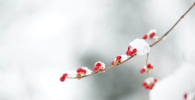 “春节冷暖看冬至” 冬至将至 2023年春FB体育 FB体育平台节冷不冷! 看农谚咋说(图3)