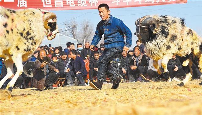 FB体育 FB体育平台2023旺旺杯“春节七天乐”优秀奖（单幅）作品选登(图6)