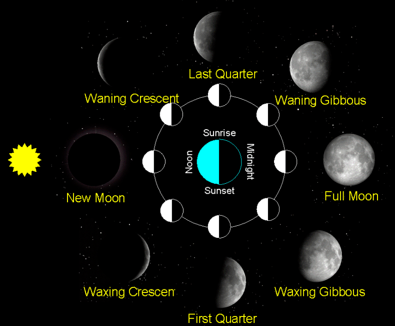 FB体育 FB体育平台“春节”怎么成了韩国的？Chinese New Year能称为 Lunar New Ye 吗？(图1)