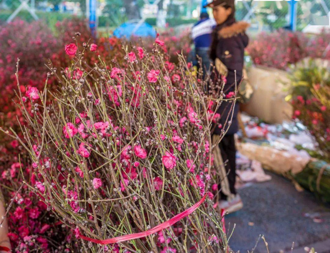 没花街还有这18个广东过年传统！你要的“年味”都在这了！FB体育 FB体育平台(图43)