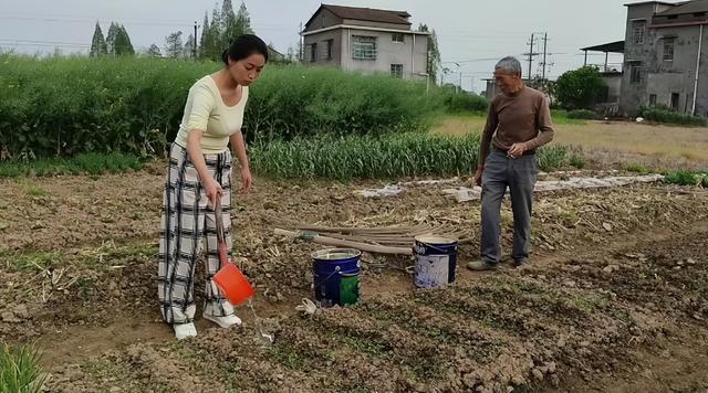 那年除夕妈妈给一流浪男孩一盘饺子从那以后每年春节他都来我家FB体育 FB体育平台(图6)