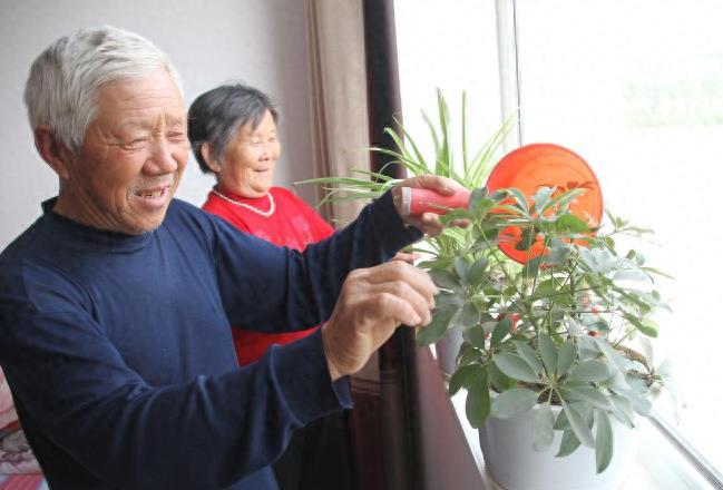 退休后才会发现：多子女家庭的老人比独生子女家庭的老人更幸福FB体育 FB体育平台(图4)