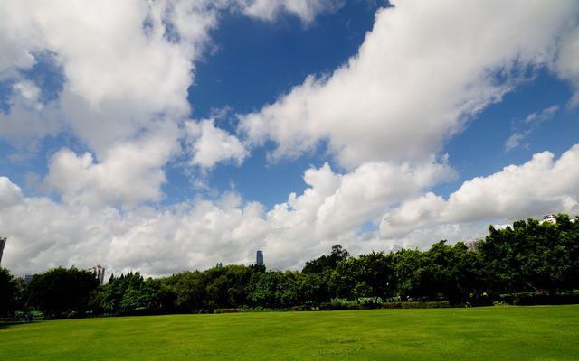 FB体育 FB体育平台小姨子嫁在广东年年回四川过春节她：广东人过年发红包太抠门(图6)