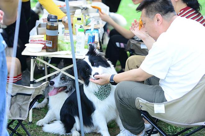 FB体育 FB体育平台第二届颜宠新年牵爪之约【2024零互颜宠新年会】圆满落幕(图2)